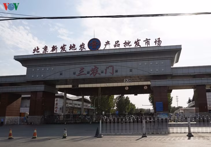 Chợ đầu mối Tân Phát Địa.