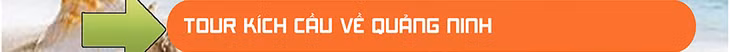 Vietravel ảnh 4