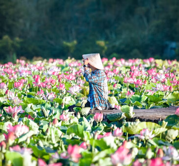 Đây là hồ sen dưới chân núi Ngọa Long thuộc Khu du lịch Hang Múa ở thôn Khê Đầu Hạ, xã Ninh Xuân, huyện Hoa Lư, cách trung tâm thành phố Ninh Bình khoảng 7 km. Vé tham quan 100.000 đồng/ người.
