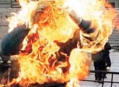  (ảnh minh họa)