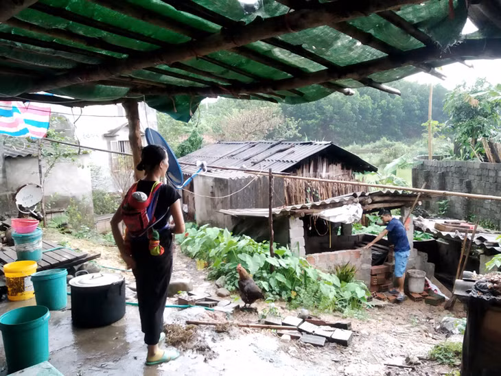 Gần nửa năm nay, do không có việc làm, gia đình anh Háu A Lộc, chị Lỷ Tài Múi, bản Mả Thàu Phố, xã Quảng Đức