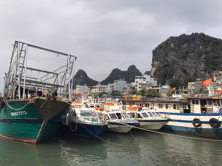 Phương tiện tàu cá đỗ lấn cả vào điểm đỗ của tàu cao tốc. 
