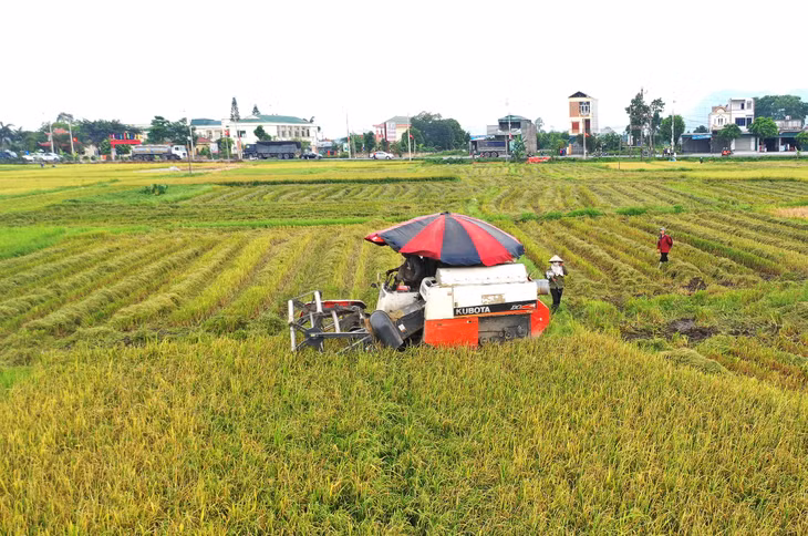 Cơ giới hóa nông nghiệp được đẩy mạnh trong sản xuất. (Trong ảnh: Thu hoạch lúa ở xã Hồng Thái Đông). Ảnh: Đỗ Giang