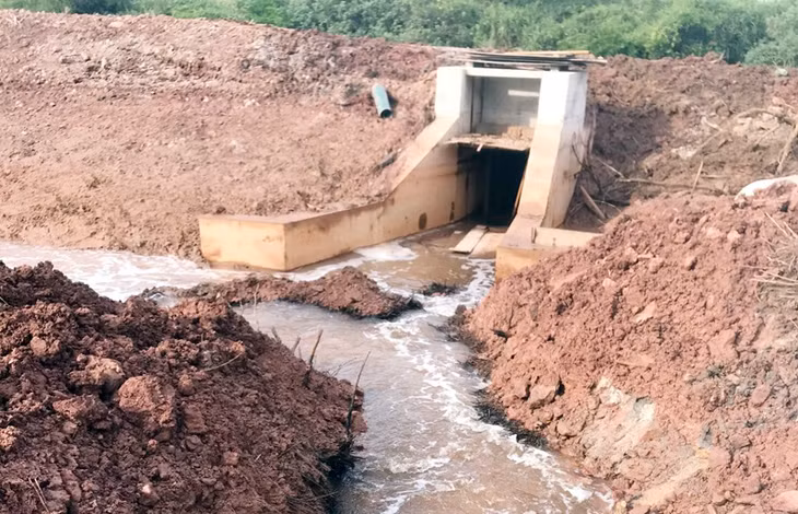 Năm 2019, huyện Hải Hà cũng đầu tư nâng cấp, sửa chữa 9 cánh cống dưới đê nhằm đảm bảo an toàn cho các tuyến đê và vùng sản xuất nông nghiệp, nuôi trồng thủy sản của người dân.