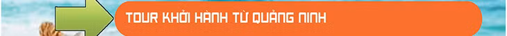 Vietravel ảnh 2