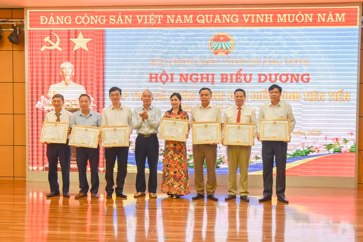 Lãnh đạo Hội Nông dân tỉnh trao bằng khen cho các 
