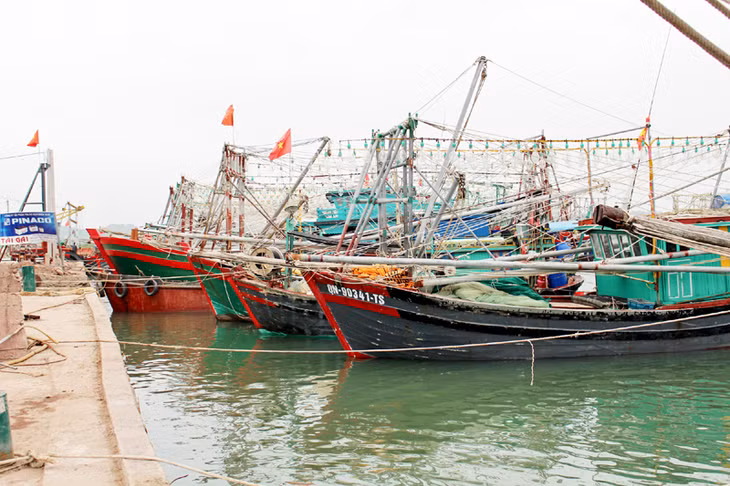 Cảng cá Tiến Tới (xã Đường Hoa, huyện Hải Hà) là một trong những điểm để ngư dân neo tàu, thuyền tránh trú mỗi khi có bão.