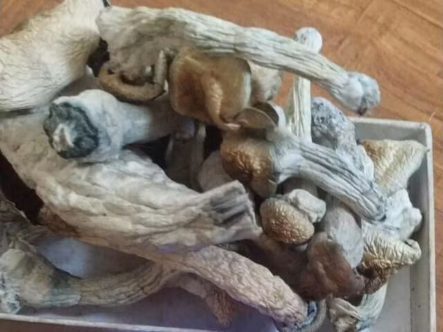 Tang vật của vụ án