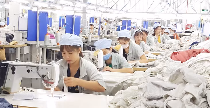 Công ty TNHH may mặc Hoa Lợi Đạt 