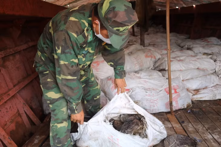 Toàn bộ số hàng đã bốc mùi hôi thối 