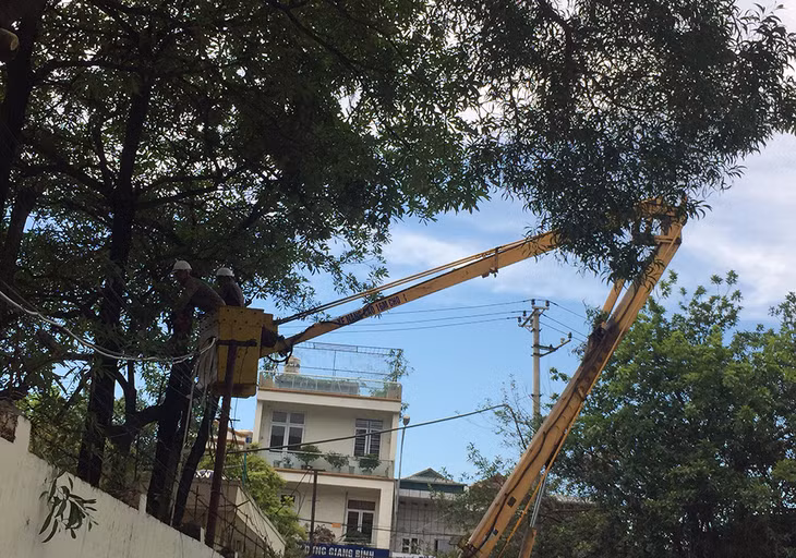 Trường THCS Bái Tử Long, TP Cẩm Phả cắt tỉa cây xanh.
