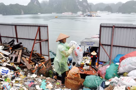 Thu gom rác thải trên Vịnh Hạ Long.