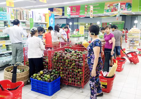 Người tiêu dùng mua sắm hàng hoá tại siêu thị Big C Hạ Long.