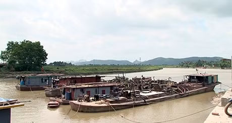 Các tàu vi phạm bị tạm giữ tại Đông Triều.