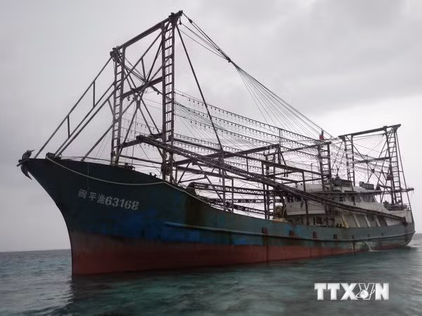 Tàu đánh cá Trung Quốc mắc cạn tại dải san hô ngầm Tubbataha, ngày 10/4. (Nguồn: AFP/TTXVN)