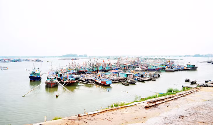 Bến Giang (TX Quảng Yên) đã thông thoáng trở lại, đảm bảo cho việc neo đậu của tàu, thuyền.