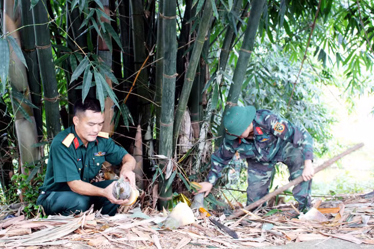 Khai thác măng tre ở Ban CHQS huyện Ba Chẽ.