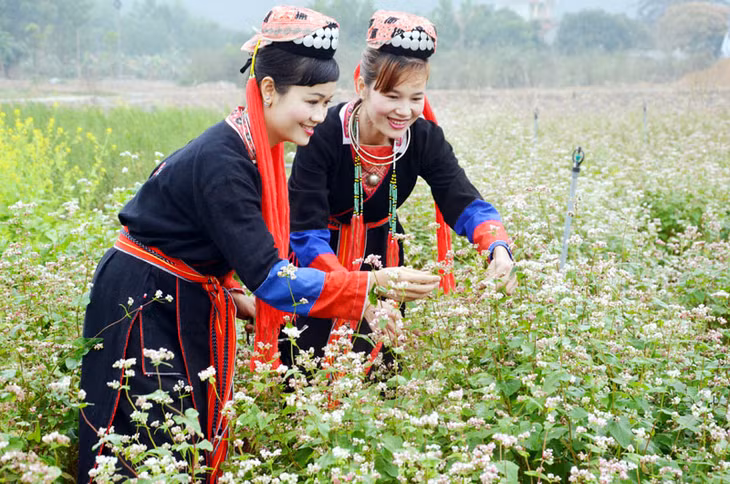 Khu du lịch sinh thái Thiên đường hoa Quảng La (thôn 6, xã Quảng La) hiện đang là địa chỉ hấp dẫn du khách của Hoành Bồ.