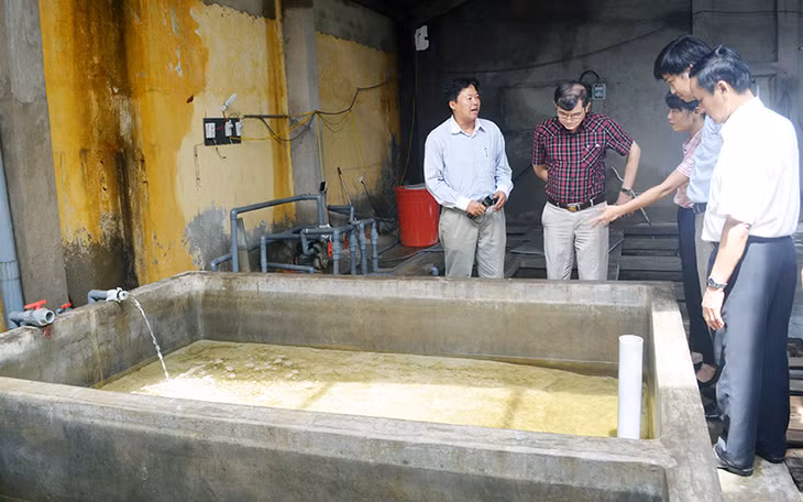 Bể xi măng ương nuôi ấu trùng sá sùng tại Trại Thực nghiệm nuôi trồng thuỷ sản nước mặn, lợ Quảng Ninh, phường Minh Thành, TX Quảng Yên của Trường Cao đẳng Thủy sản (Bắc Ninh).