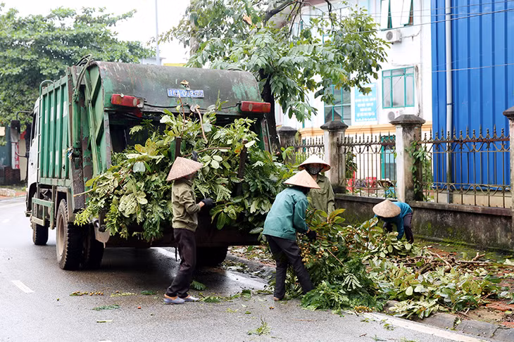 Công nhân Công ty Môi trường dọn dẹp cây xanh bị gẫy đổ trên các tuyến đường.