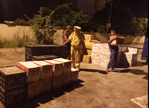 Lượng lớn hoa quả đang bị tạm giữ 