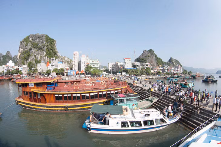 Cảng tầu Vân Đồn. Ảnh Đỗ Giang