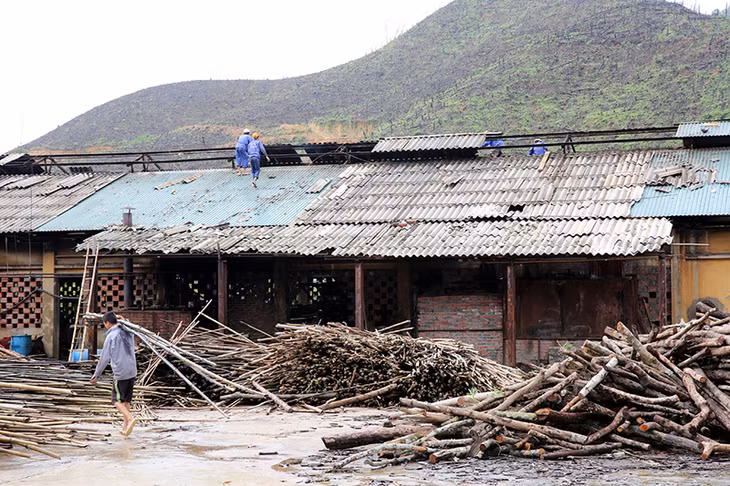 Cán bộ, công nhân Nhà máy Giấy Ba Chẽ đang khẩn trương dọn dẹp kho xưởng, thay thế ngói bị vỡ để ổn định lại sản xuất.