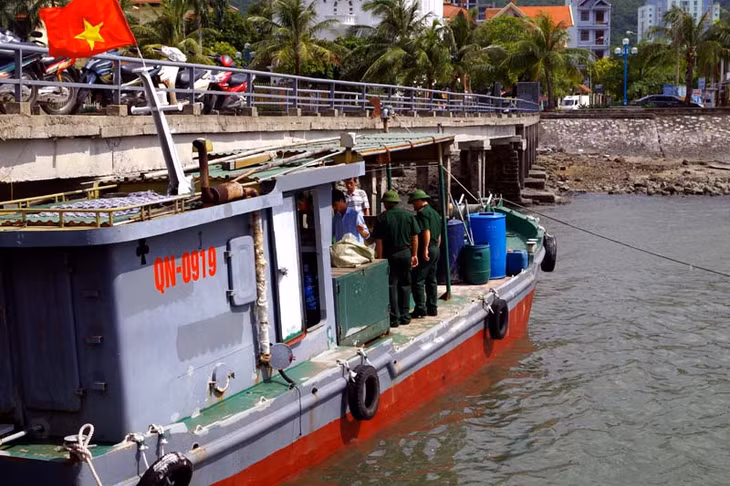  Tang vật và phương tiện bị Hải đội 2 Biên phòng đưa về xử lý theo quy định