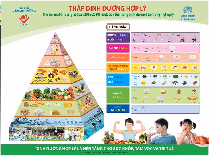 Sữa và sản phẩm từ sữa là một thực phẩm có mặt trong tháp dinh dưỡng hợp lý do Viện Dinh dưỡng khuyến nghị.