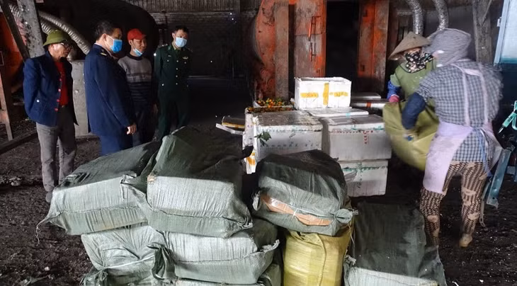 trên 1 ấn quả cam, quýt và chả mực không rõ nguồn gốc do Đội KSHQ số 1 thu giữ, tiêu hủy (Ảnh chụp tháng 1/2020).