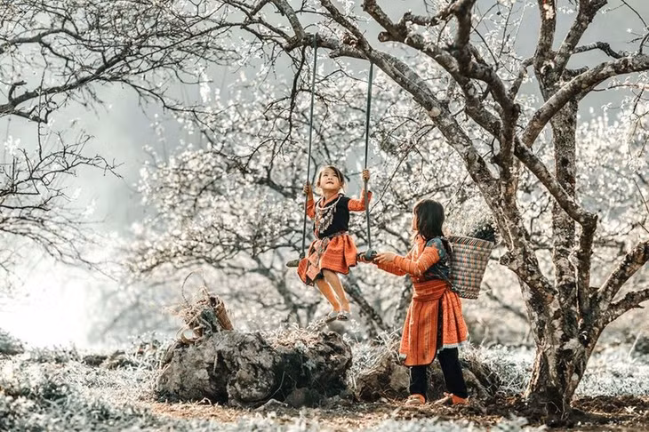Sapa mùa mận trắng.