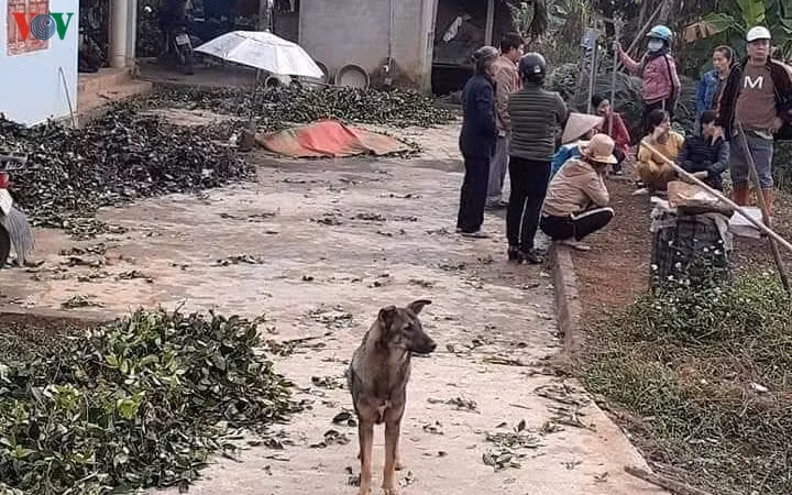Khu vực xảy ra vụ án.