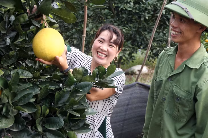 Hỗ trợ phụ nữ phát triển kinh tế