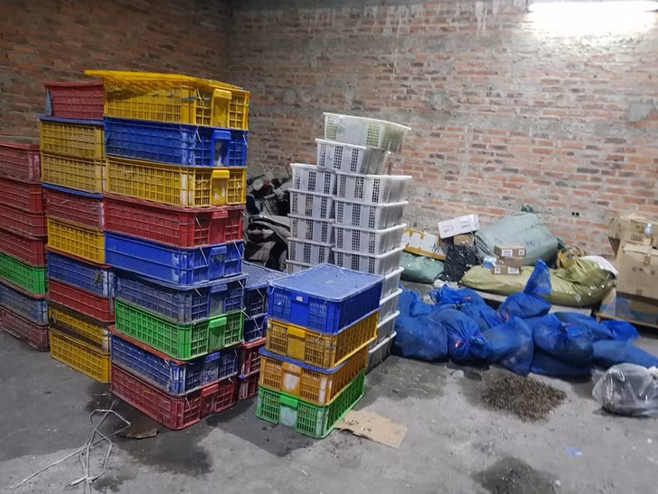 Công an TP Hạ Long tạm giữ toàn bộ số lượng lớn rùa, rắn để phân loại, xử lý theo quy định pháp luật.