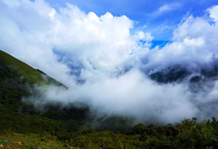 Nếu di chuyển vào sáng sớm, bạn sẽ bắt gặp những rừng cây ẩn mình giữa những làn mây trắng xóa.