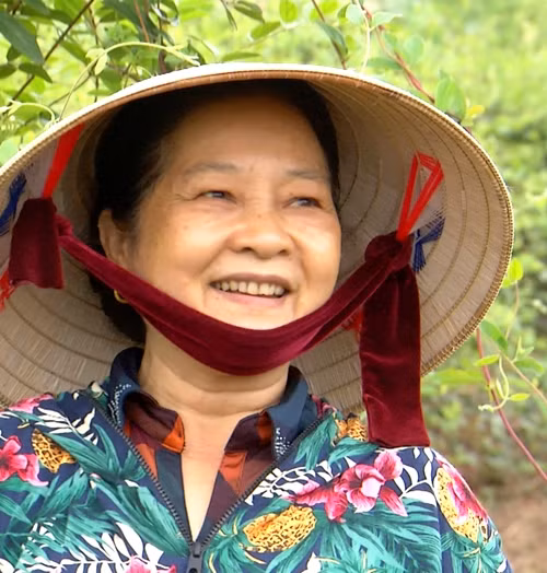 Tiên Yên