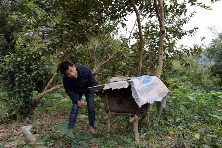 Ngoài sản xuất nông nghiệp, trồng rừng, các hộ dân trong xóm còn tích cực chăn nuôi, nâng cao thu nhập.