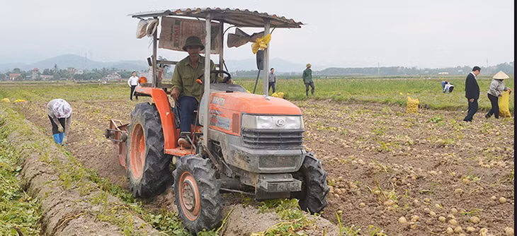 Cơ giới hóa trong sản xuất nông nghiệp tại TX Đông Triều. Ảnh: Việt Hoa