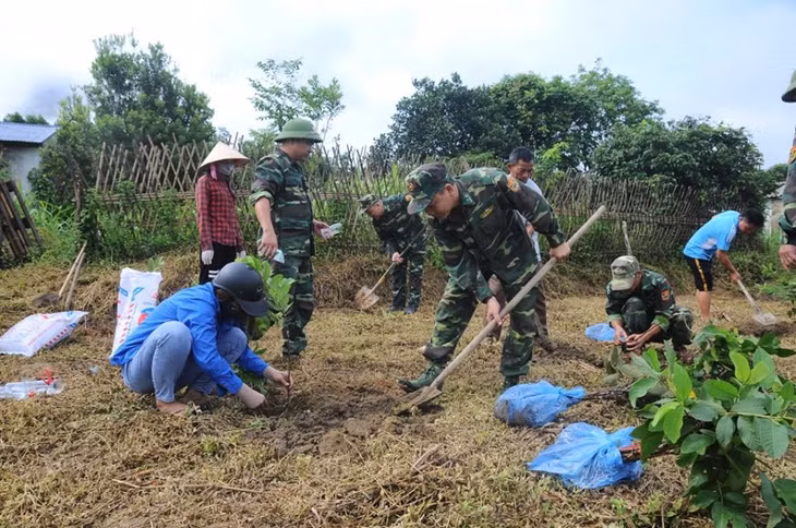 Đồn Biên phòng Pò Hèn giúp 3 hộ dân thôn Lục Chắn xây dựng vườn mẫu.