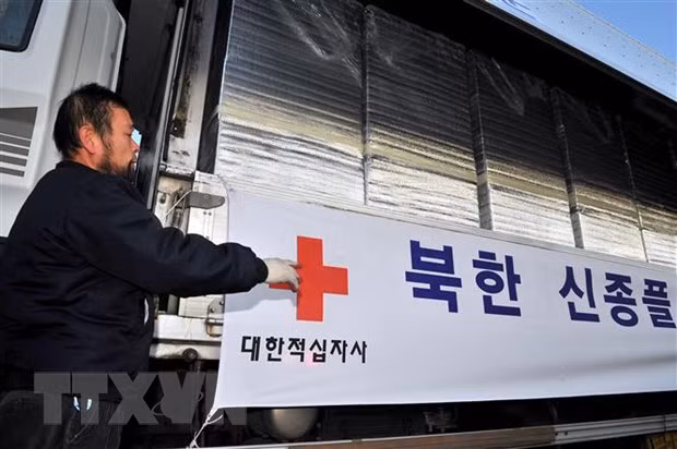 Kiểm tra chuyến xe chở thuốc điều trị cúm Tamiflu do Hàn Quốc viện trợ cho Triều Tiên, tại thành phố biên giới Paju. (Ảnh: AFP/TTXVN)