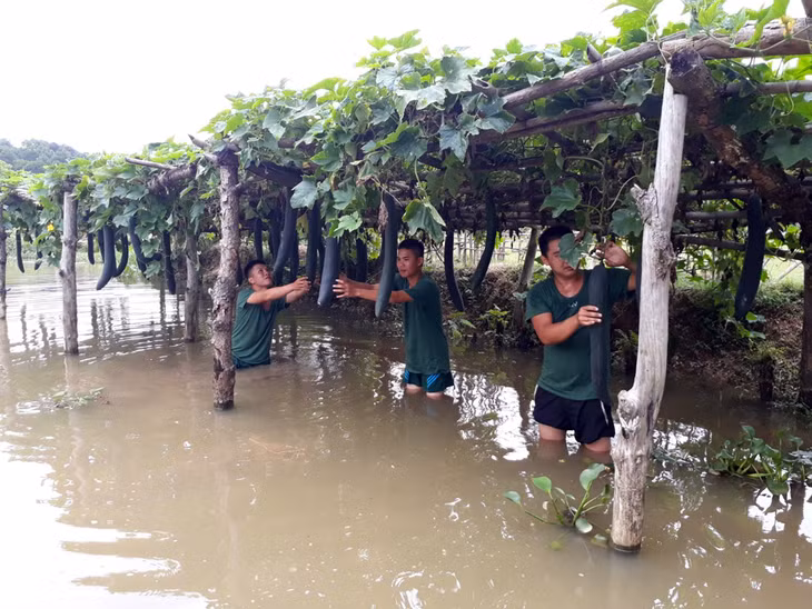 Cán bộ, chiến sỹ Đại đội Đảo Vĩnh Thực tăng gia sản xuất.