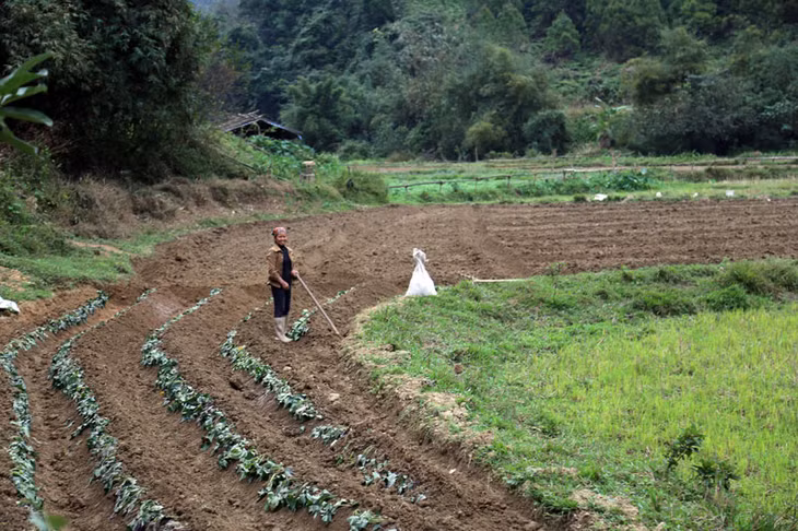 Mỗi hộ dân trong xóm đều khai hoang được hàng trăm mét vuông đất nông nghiệp.