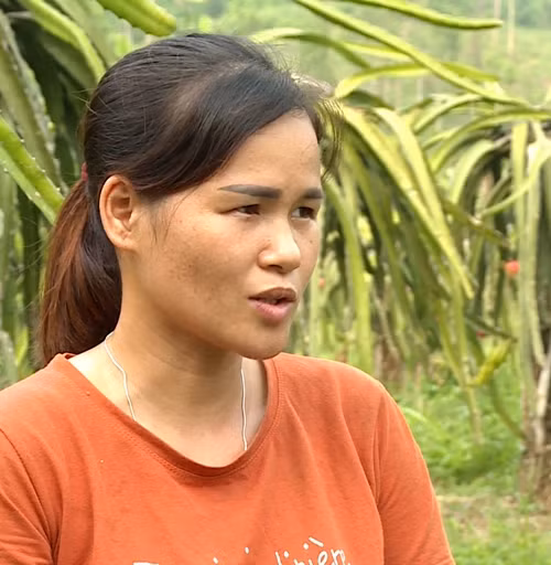 ba chẽ