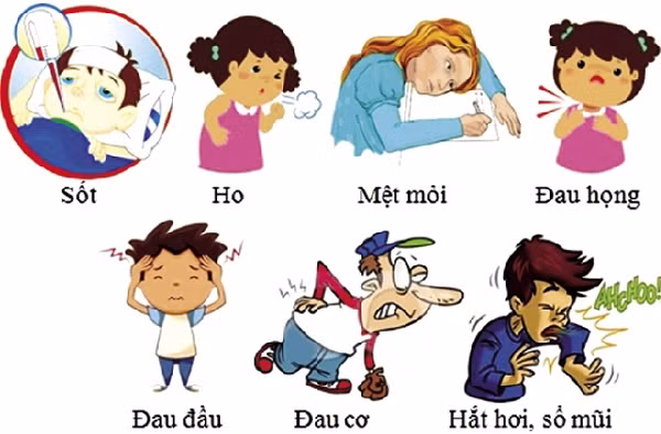 Các triệu chứng của bệnh cúm.