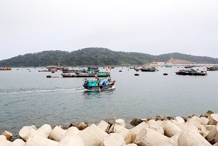 Trung tâm dịch vụ hậu cần nghề cá Bắc Vịnh Bắc bộ tại huyện Cô Tô. Ảnh: Công Quý (CTV)