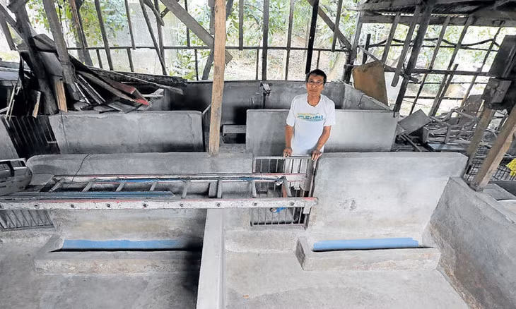 Một nông dân đứng trong khu chuồng trại trống trơn vì dịch tả lợn châu Phi ở tỉnh Rizal, Philippines. Ảnh: Inquirer.