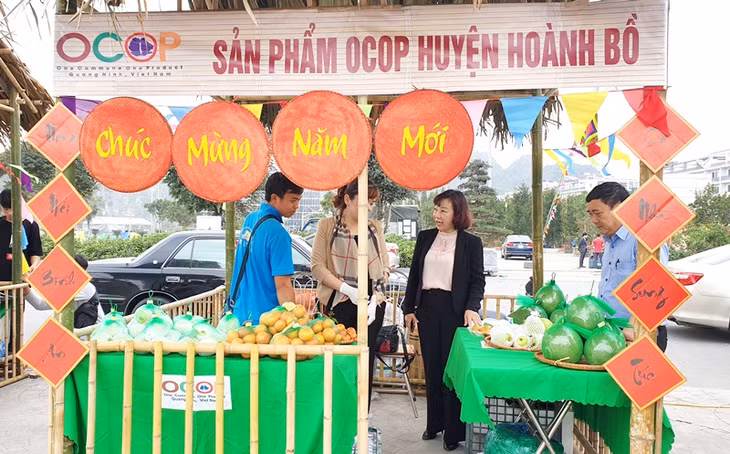 Phó Chủ tịch UBND tỉnh Vũ Thị Thu Thủy kiểm tra gian hàng OCOP