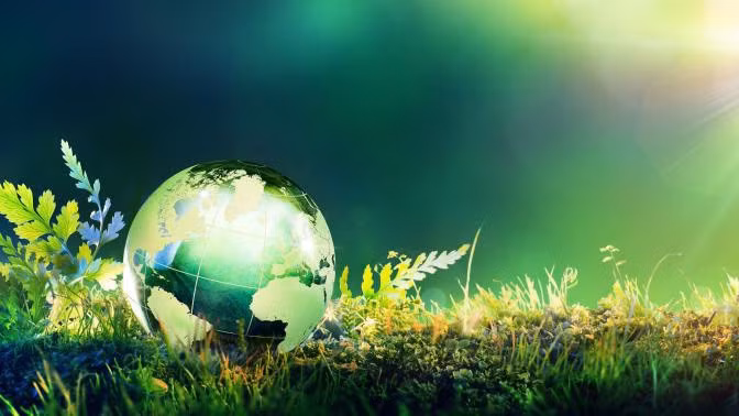 EU quyết nói “Không” với khí thải CO2 vào năm 2050. Ảnh minh họa: EEAS