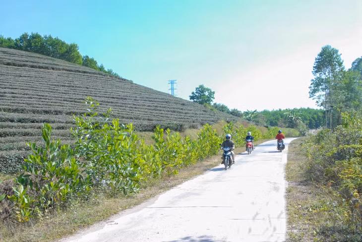 Hệ thống đường giao thông thôn Đá Phẳng (thôn 9), xã Quảng Phong, được quan tâm đầu tư nâng cấp, đã kết nối thông suốt với các thôn trong xã và với xã Đường Hoa ở khu vực liền kề.