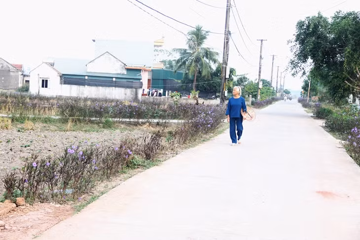 Hoa phủ tím đến cả các đường ngõ, ngách trong thôn